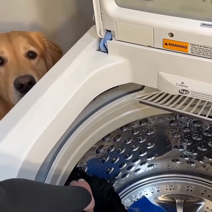 Golden retriever next to a top load washing machine