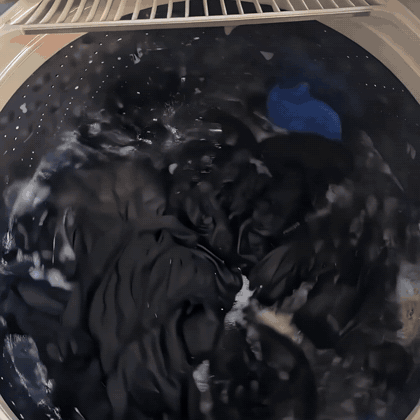 Laundry fish covered in pet hair pulled out of the washer